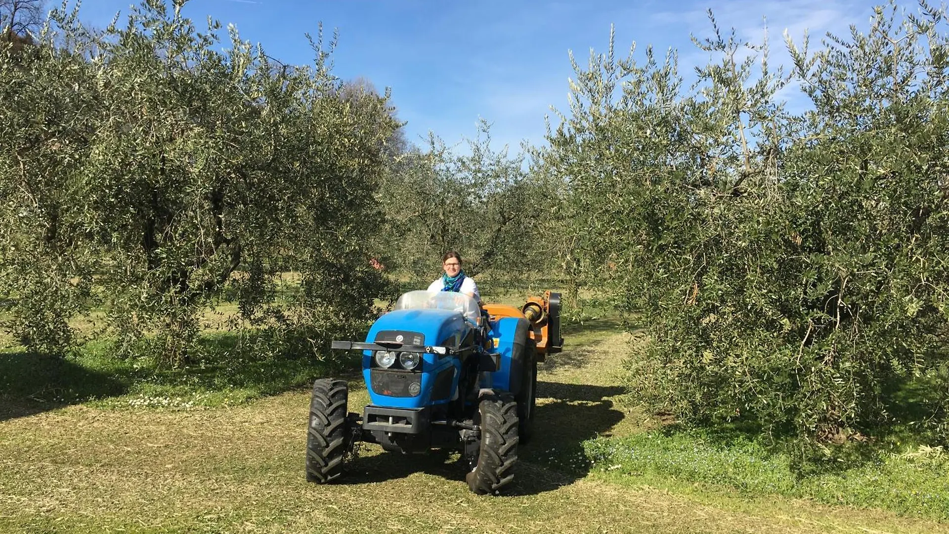 Agriturismo Nonna Bettina Moniga del Garda 0*,  Italy