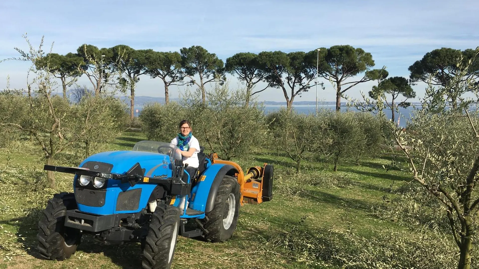 Agriturismo Nonna Bettina Moniga del Garda Farm stay