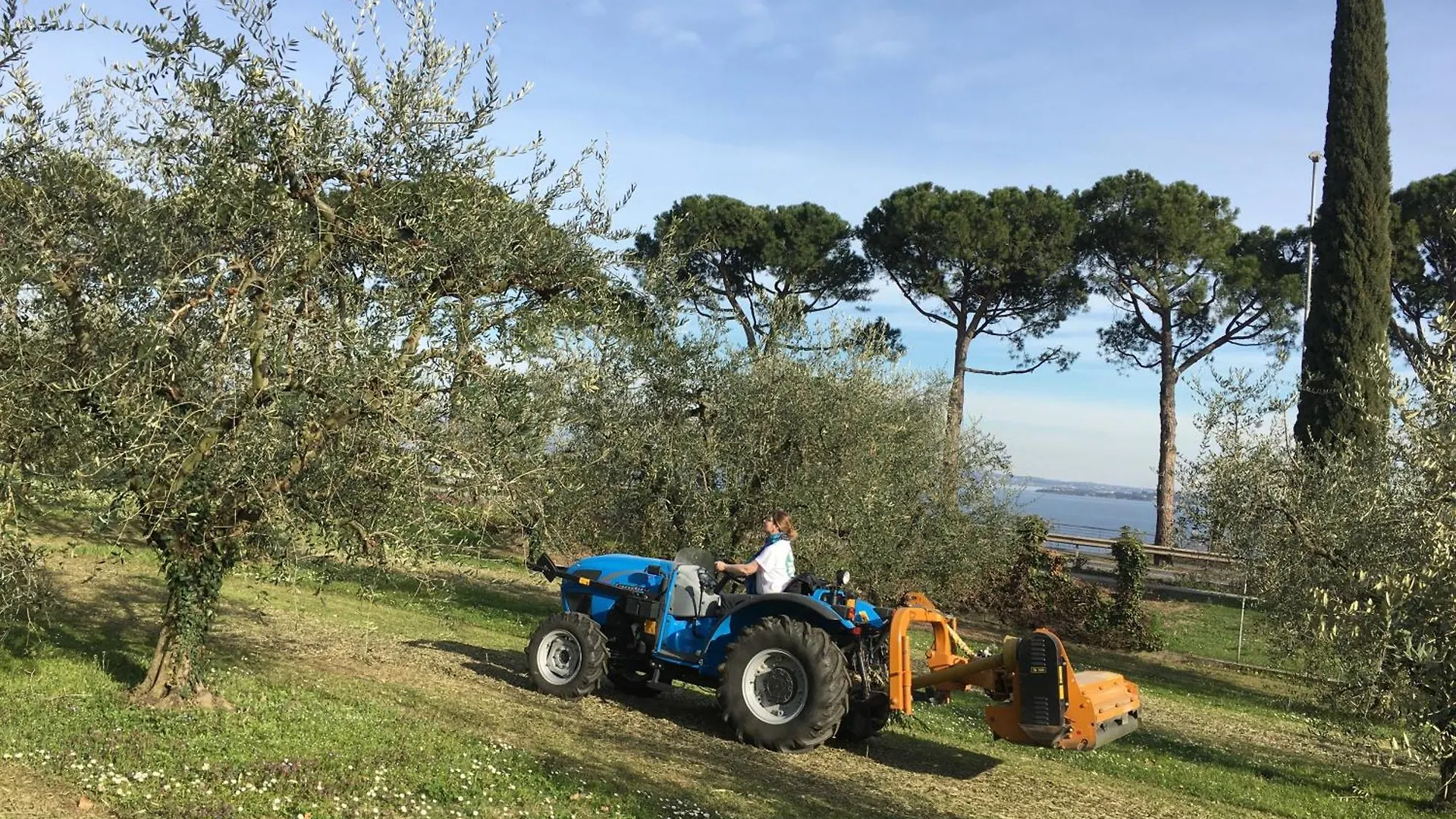 Farm stay Agriturismo Nonna Bettina Moniga del Garda Italy