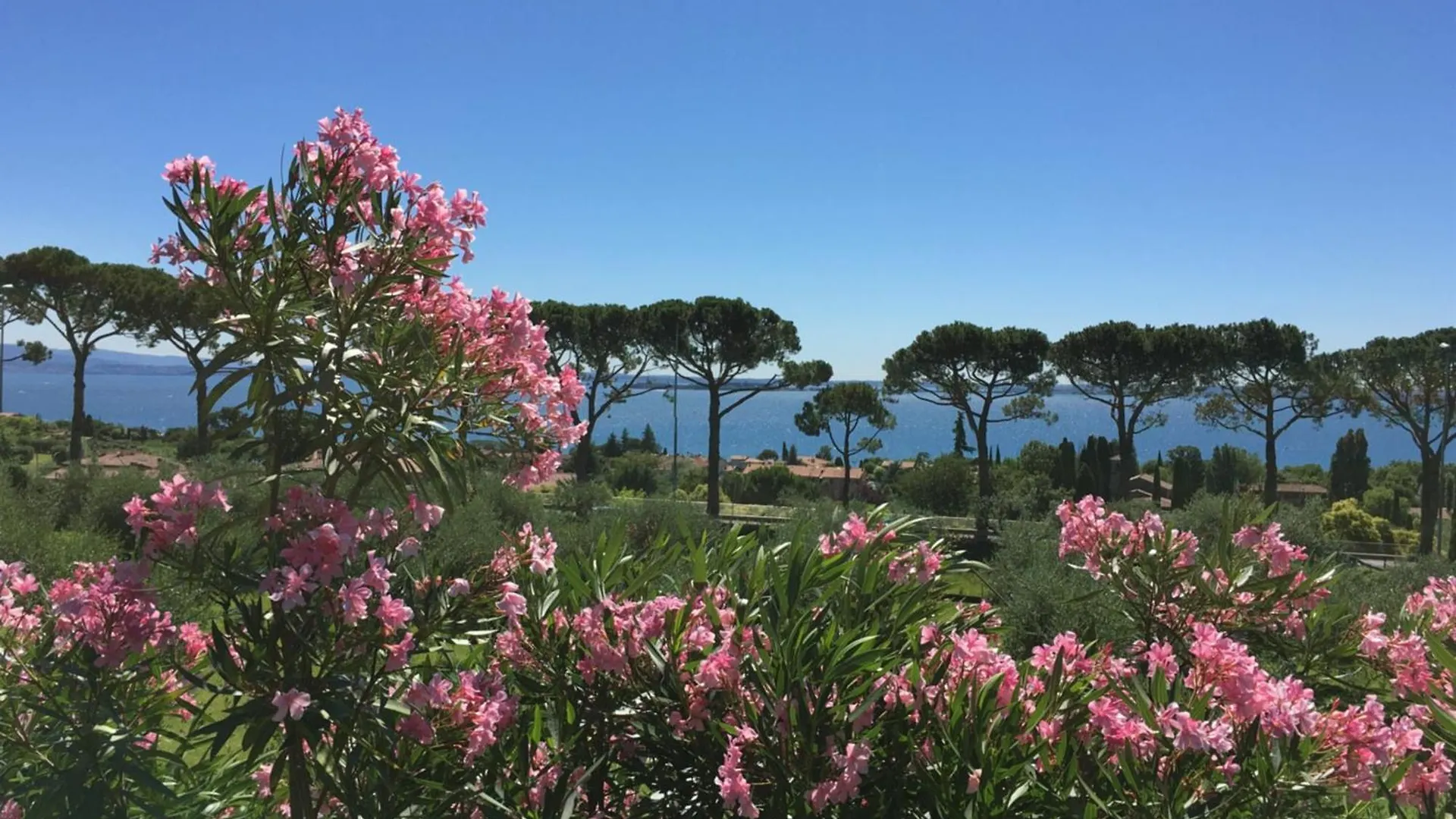 Farm stay Agriturismo Nonna Bettina Moniga del Garda